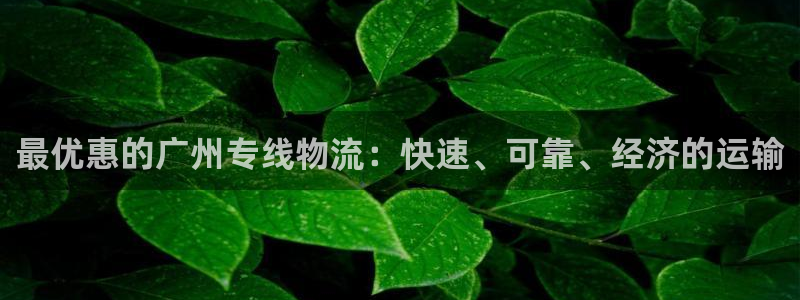 28圈游戏最新版：最优惠的广州专线物