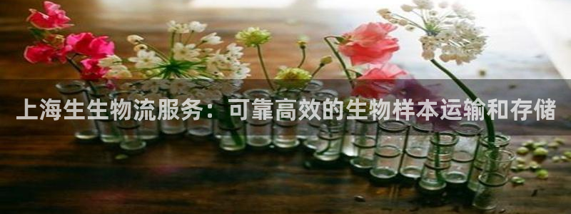 28圈p扣款什么意思：上海生生物流服