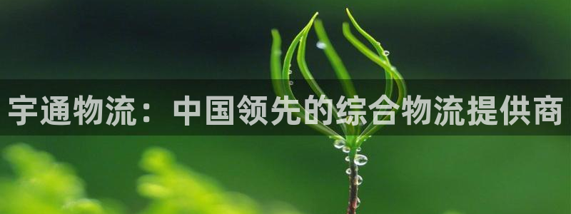 28圈分分28输了能不能退：宇通物流