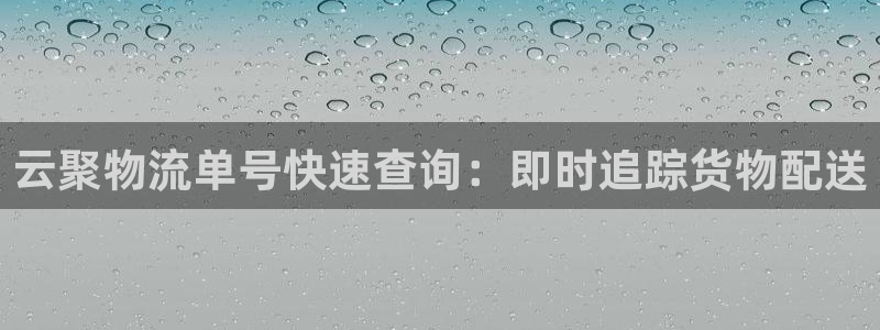 28圈免费：云聚物流单号快速查询：即