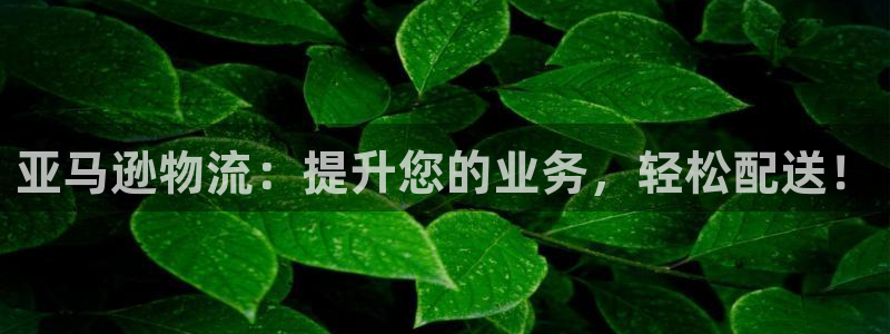 28圈娱乐官网网页入口：亚马逊物流：